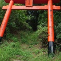 実際訪問したユーザーが直接撮影して投稿した豊福神社月姫大明神の写真