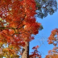 実際訪問したユーザーが直接撮影して投稿した岩屋町公園岩屋堂公園の写真