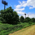 実際訪問したユーザーが直接撮影して投稿した多磨町公園武蔵野公園の写真