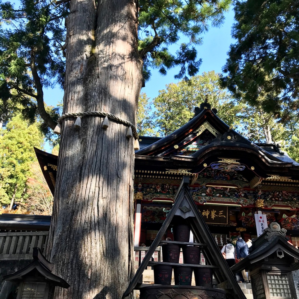 Mimmiさんが投稿した三峰神社のお店三峯神社/ミツミネジンジャの写真