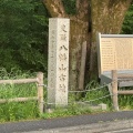 実際訪問したユーザーが直接撮影して投稿した山脇町古墳八幡山古墳の写真