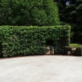 実際訪問したユーザーが直接撮影して投稿した柏の葉公園柏の葉公園 冒険のトリデの写真