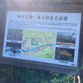 実際訪問したユーザーが直接撮影して投稿した城戸ノ内町庭園一乗谷朝倉氏庭園の写真