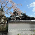 実際訪問したユーザーが直接撮影して投稿した北門前町寺妙傳寺の写真