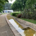 実際訪問したユーザーが直接撮影して投稿した赤坂公園ミッドタウンガーデンの写真