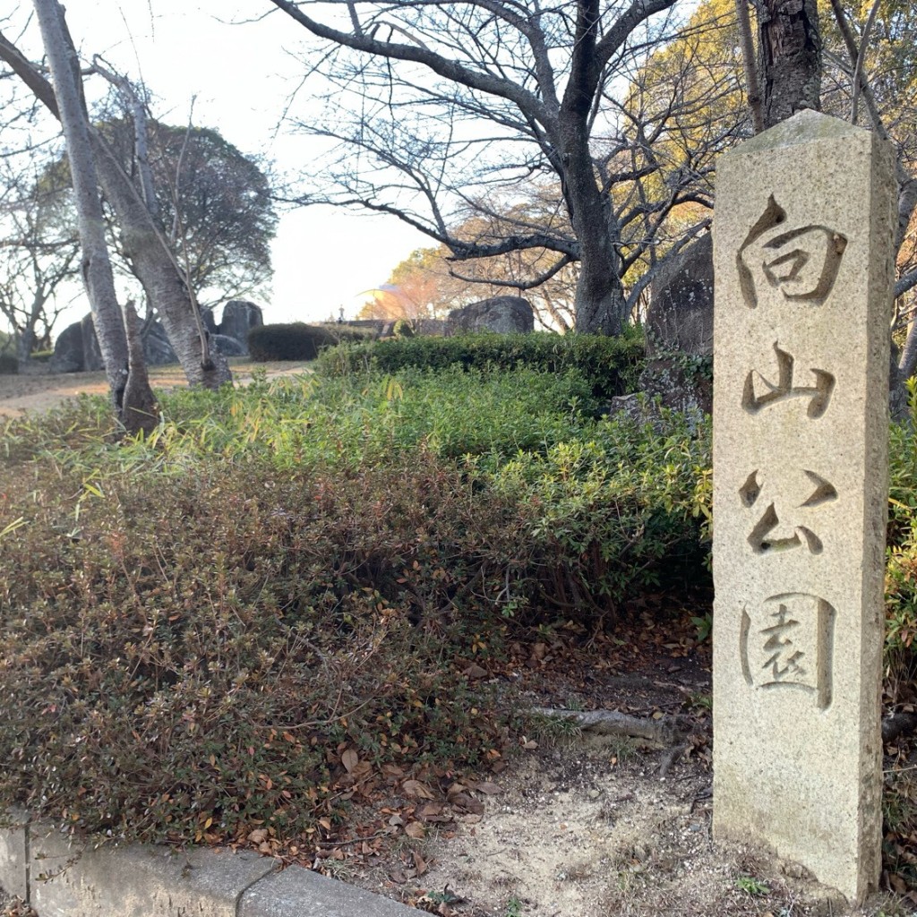 実際訪問したユーザーが直接撮影して投稿した向山公園向山公園の写真