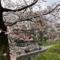 実際訪問したユーザーが直接撮影して投稿した本丸公園富山城址公園の写真