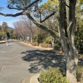 実際訪問したユーザーが直接撮影して投稿した楠町公園大倉山公園の写真