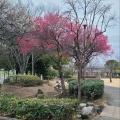 実際訪問したユーザーが直接撮影して投稿した美しが丘公園間々田美しが丘公園の写真