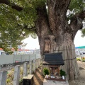 実際訪問したユーザーが直接撮影して投稿した公園長曽根楠塚公園の写真