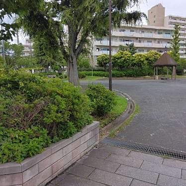 実際訪問したユーザーが直接撮影して投稿した中野島公園中河原公園の写真