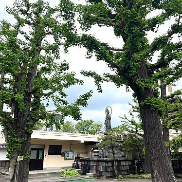 実際訪問したユーザーが直接撮影して投稿した浅草歴史 / 遺跡観世菩薩像の写真