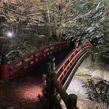 実際訪問したユーザーが直接撮影して投稿した岩屋町公園岩屋堂公園の写真