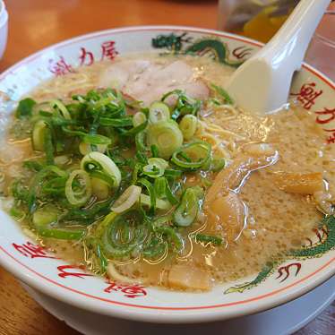 実際訪問したユーザーが直接撮影して投稿した一乗寺向畑町ラーメン専門店ラーメン魁力屋 本店の写真