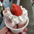 実際訪問したユーザーが直接撮影して投稿した花川北一条アイスクリーム高級アイス専門店 Bazaarの写真