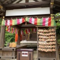 実際訪問したユーザーが直接撮影して投稿した上賀茂本山神社上賀茂神社の写真