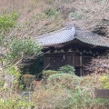 実際訪問したユーザーが直接撮影して投稿した法蓮町寺不退寺の写真