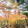 実際訪問したユーザーが直接撮影して投稿した内山神社竈門神社の写真