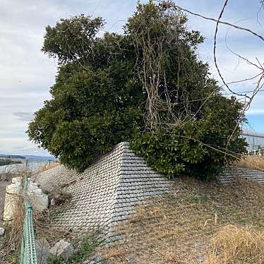 実際訪問したユーザーが直接撮影して投稿した林田町公園林田与北緑地の写真