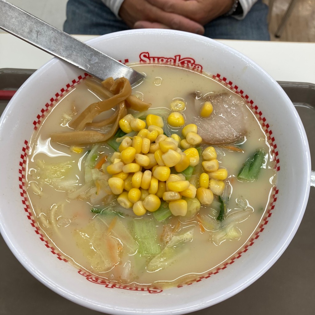 ユーザーが投稿した野菜ラーメンの写真 - 実際訪問したユーザーが直接撮影して投稿した国久保ラーメン専門店スガキヤ MEGAドン・キホーテUNY富士吉原店の写真