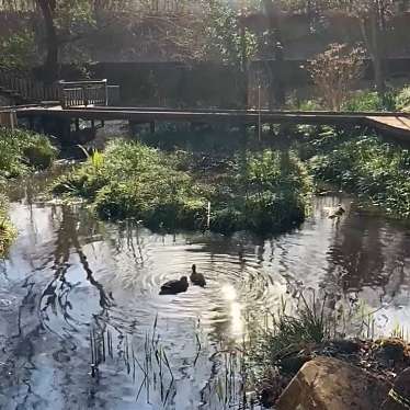 実際訪問したユーザーが直接撮影して投稿した犬蔵公園宮前美しの森公園の写真