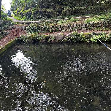 実際訪問したユーザーが直接撮影して投稿した富士見町赤城山バーベキューバーベキューガーデン白水の写真