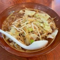 実際訪問したユーザーが直接撮影して投稿した寺泊ラーメン / つけ麺寺泊 こまどりの写真