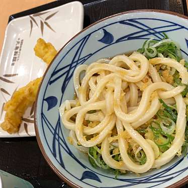 実際訪問したユーザーが直接撮影して投稿した天王町うどん丸亀製麺 イオンモール浜松市野の写真