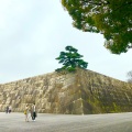 実際訪問したユーザーが直接撮影して投稿した千代田歴史 / 遺跡江戸城天守台の写真