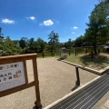実際訪問したユーザーが直接撮影して投稿した雑司町湖沼 / 池東大寺鏡池の写真