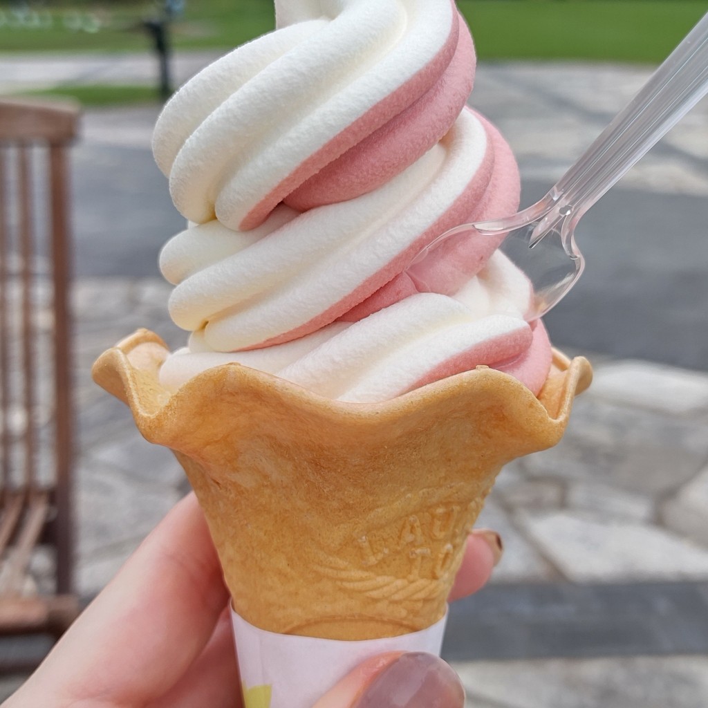 ユーザーが投稿したソフトクリームの写真 - 実際訪問したユーザーが直接撮影して投稿した山崎町カフェ風待ちテラスの写真