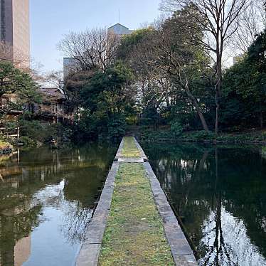 実際訪問したユーザーが直接撮影して投稿した後楽公園小石川後楽園の西湖の堤の写真