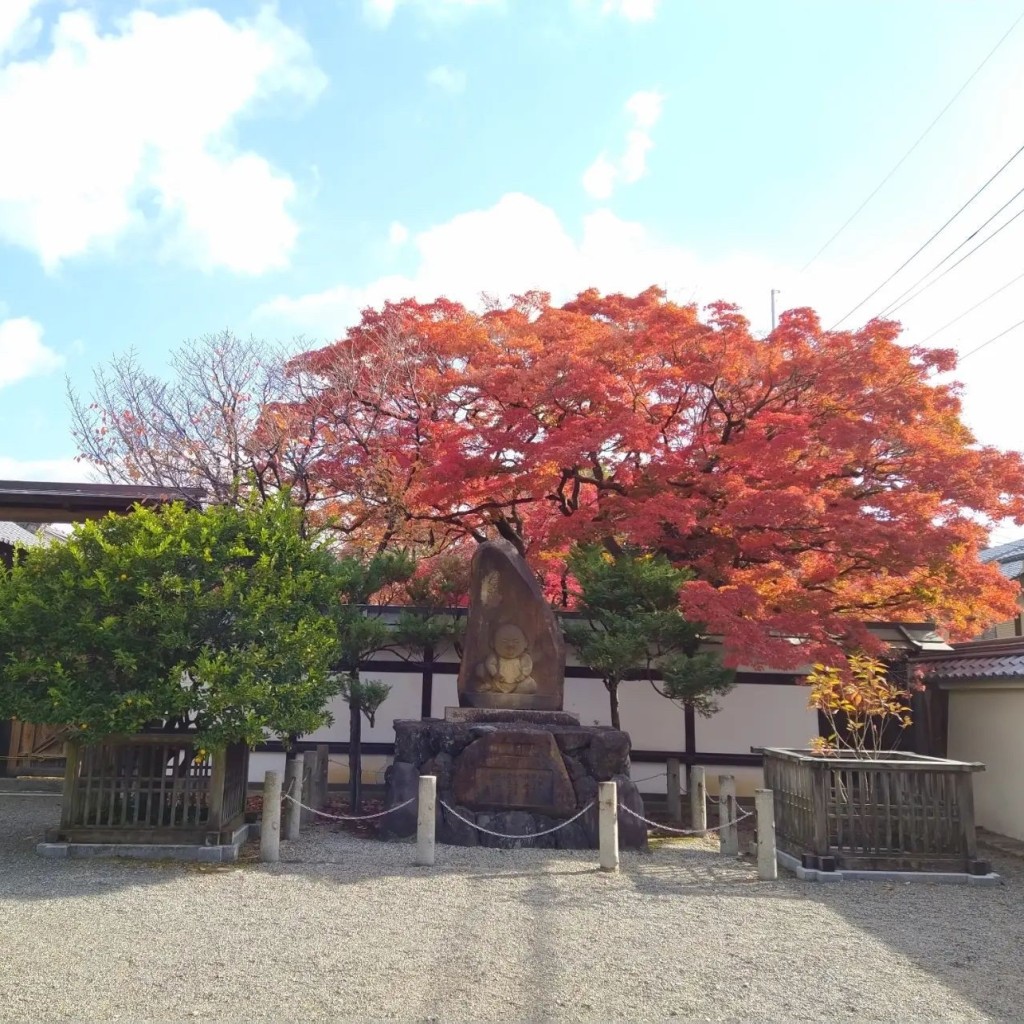 実際訪問したユーザーが直接撮影して投稿した百々町寺宝鏡寺の写真