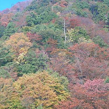 実際訪問したユーザーが直接撮影して投稿した木戸展望台 / 展望施設びわ湖テラスの写真