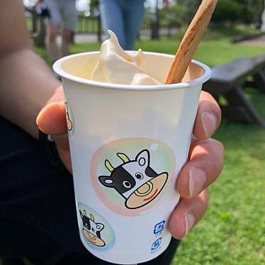 実際訪問したユーザーが直接撮影して投稿した中野町アイスクリーム函館牛乳 あいす118の写真