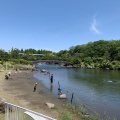 実際訪問したユーザーが直接撮影して投稿した勝島公園しながわ区民公園の写真