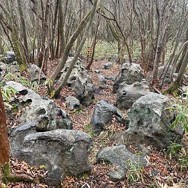 実際訪問したユーザーが直接撮影して投稿した満願寺岩雀の地獄と奇岩石の写真