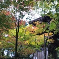 実際訪問したユーザーが直接撮影して投稿した松尾寺寺金剛輪寺の写真