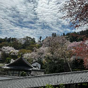 長谷寺のundefinedに実際訪問訪問したユーザーunknownさんが新しく投稿した新着口コミの写真