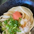 実際訪問したユーザーが直接撮影して投稿した玉沢うどんはなまるうどん トキハわさだタウン店の写真