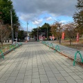 実際訪問したユーザーが直接撮影して投稿した桜ケ岡公園神社櫻岡大神宮の写真