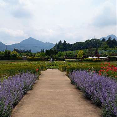 実際訪問したユーザーが直接撮影して投稿した折田植物園 / 樹木園中之条ガーデンズの写真