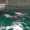 実際訪問したユーザーが直接撮影して投稿した内浦長浜水族館 / アクアリウム伊豆・三津シーパラダイスの写真