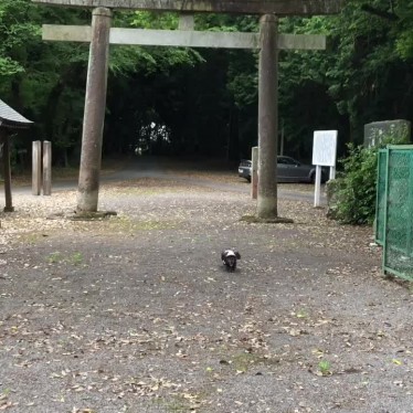 実際訪問したユーザーが直接撮影して投稿した小野神社日枝神社の写真