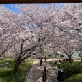 実際訪問したユーザーが直接撮影して投稿した明石公園公園明石公園の写真