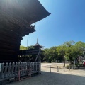 実際訪問したユーザーが直接撮影して投稿した甚目寺寺甚目寺の写真