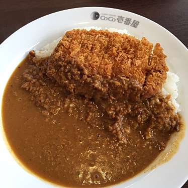 実際訪問したユーザーが直接撮影して投稿した南中安松カレーCoCo壱番屋 泉佐野国道26号店の写真