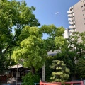 実際訪問したユーザーが直接撮影して投稿した北品川神社荏原神社の写真