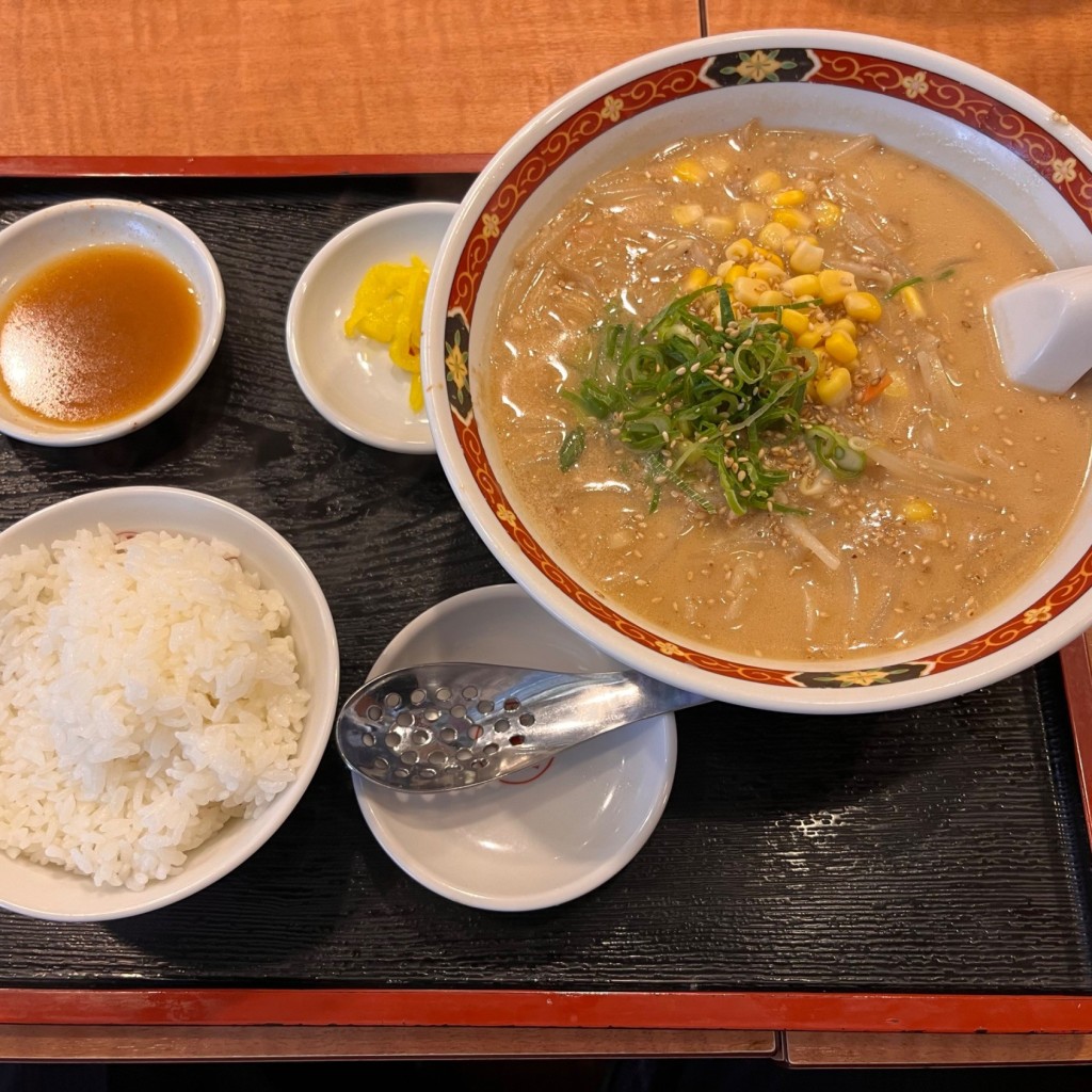 FUJI山のグルメ記録帳さんが投稿した難波ラーメン専門店のお店中央軒 本店/チュウオウケン ホンテンの写真