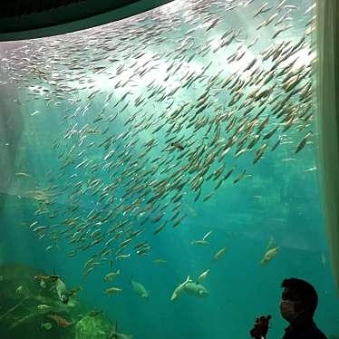 実際訪問したユーザーが直接撮影して投稿した越坂水族館 / アクアリウムのと海洋ふれあいセンターの写真